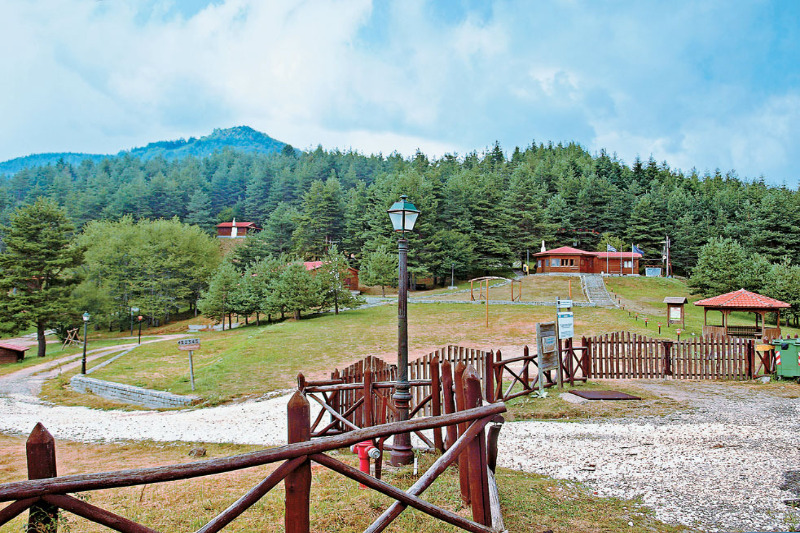 Forest Village of Erimanthos