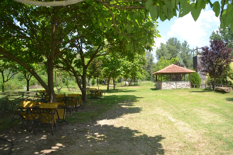 Free Riding and Coffee, in the Valley of Nestos