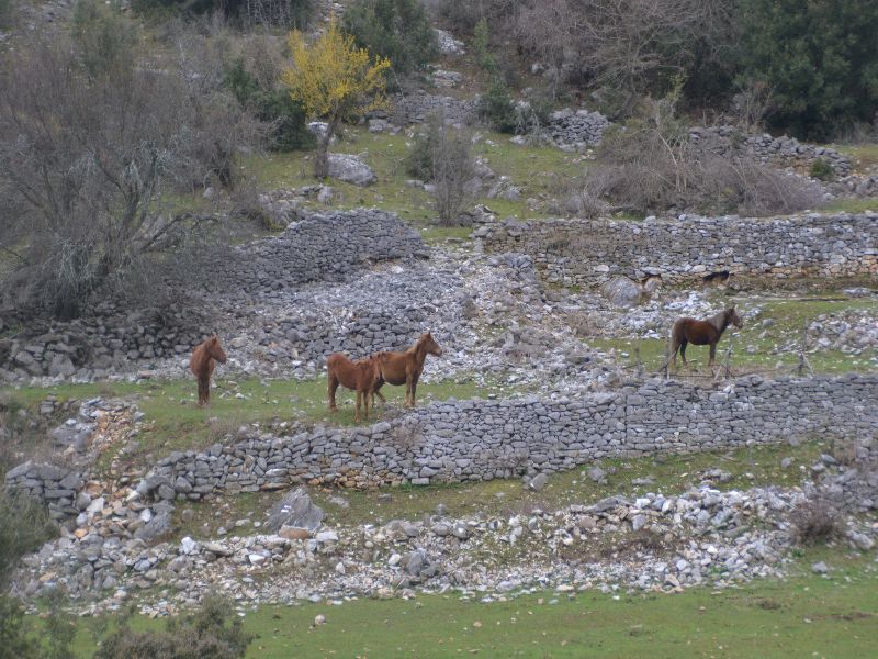 Γαλάνη – Κρωμνικό – Κομνηνά – Σταυρούπολη.