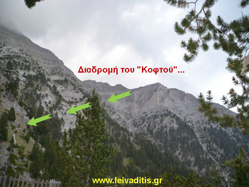 (Δ. 5) Διαδρομή 5: Καταφύγιο “Σπήλιος Αγαπητός” – Οροπέδιο Μουσών (από Κοφτό).