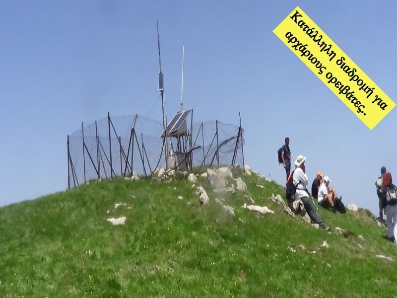 Κορυφή Μουτσιάρα με υψόμετρο 2.120 μ.