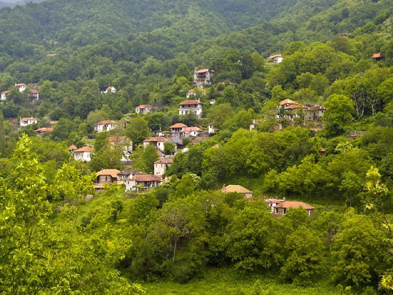 Παλαιός Παντελεήμωνας – Άνω Σκοτίνα (Διάσχιση).