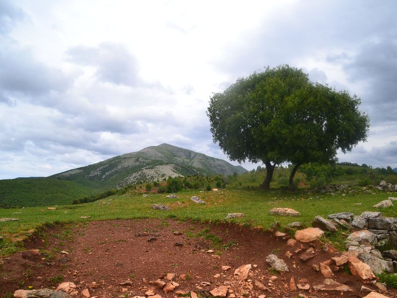 Κορυφή “Άγιος Γεώργιος” (Τσαλ) με υψόμ. 1.402 μ. (Κορυφή νο 21). Ανάβαση από την Εκκλησιαστική.